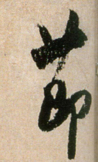 節【节】的书法