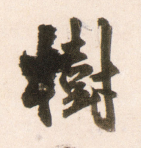 树的书法