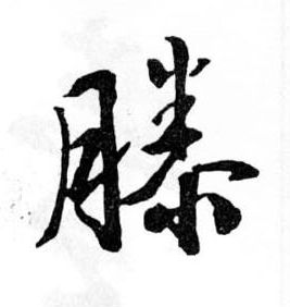 滕的书法