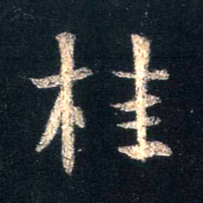 桂的书法