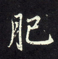 肥的书法