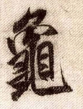 龟的书法