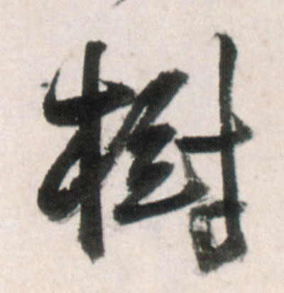树的书法