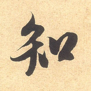 知的书法