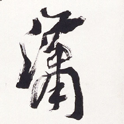 潇的书法