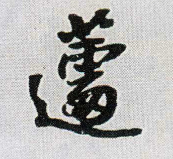 蘧的书法