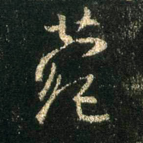 菀的书法