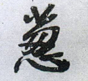 葱的书法