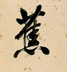蕉的书法