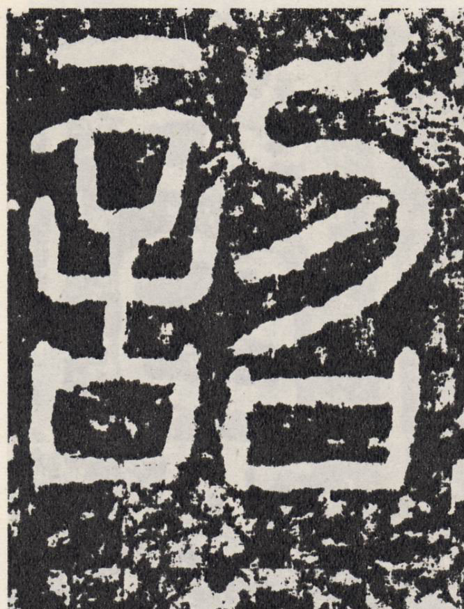 诏[詔]的书法