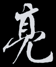 亮的书法