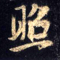 照的书法